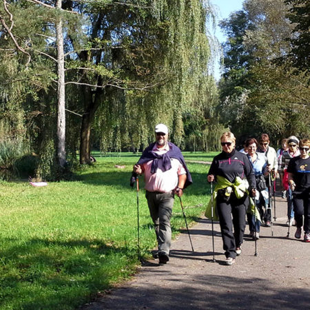 Marche nordique, tous les jeudis après-midi